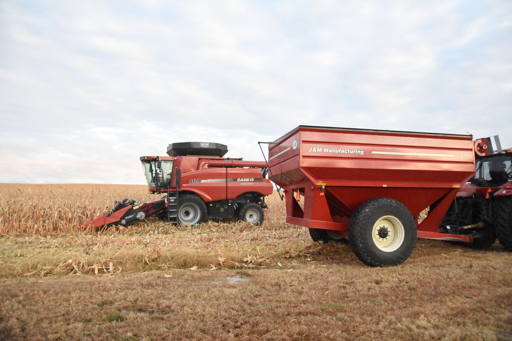 Rempel Harvest (28).JPG